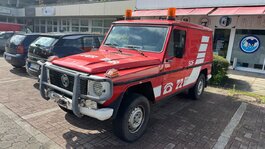 IMG_1129.jpeg