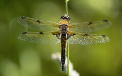 20130608_152944.jpg