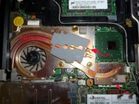 T43 Fan long 1 kl.jpg