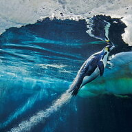 usr_len